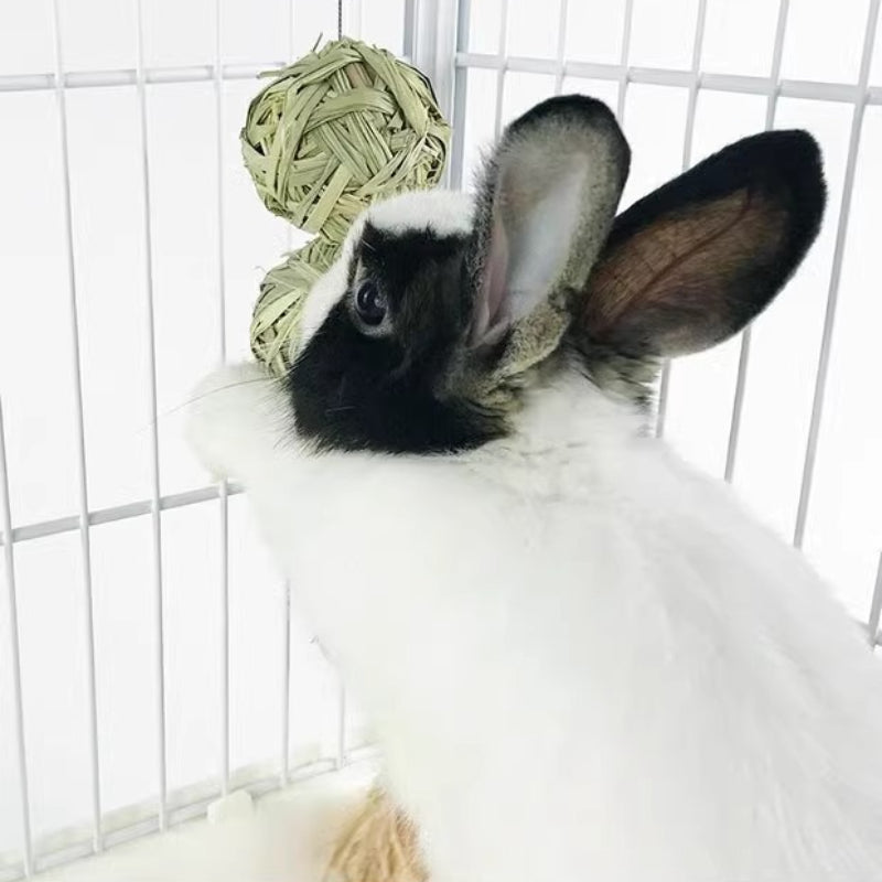 Kaninchen Spielzeug, Hängende Grasball für Kaninchen, Robustes und Kauresistentes Spielzeug aus Wassergras, Laternenschnurform