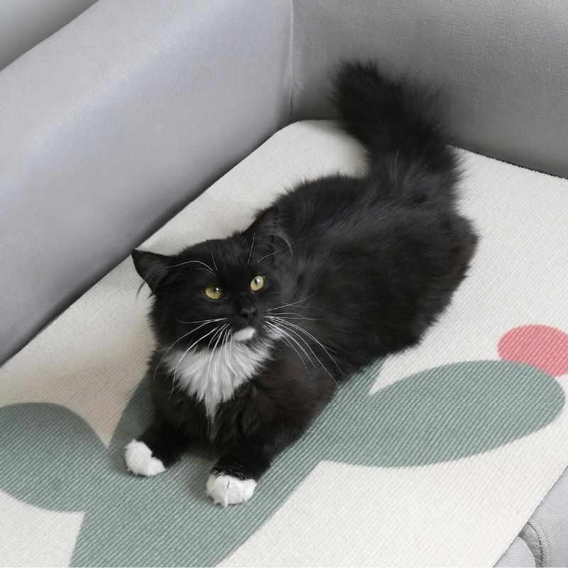 Kratzmatte für Katzen, Selbsthaftender Kratzwand mit Kaktus-Muster, Möbelschutz und Krallenpflege, 50cmx80cm