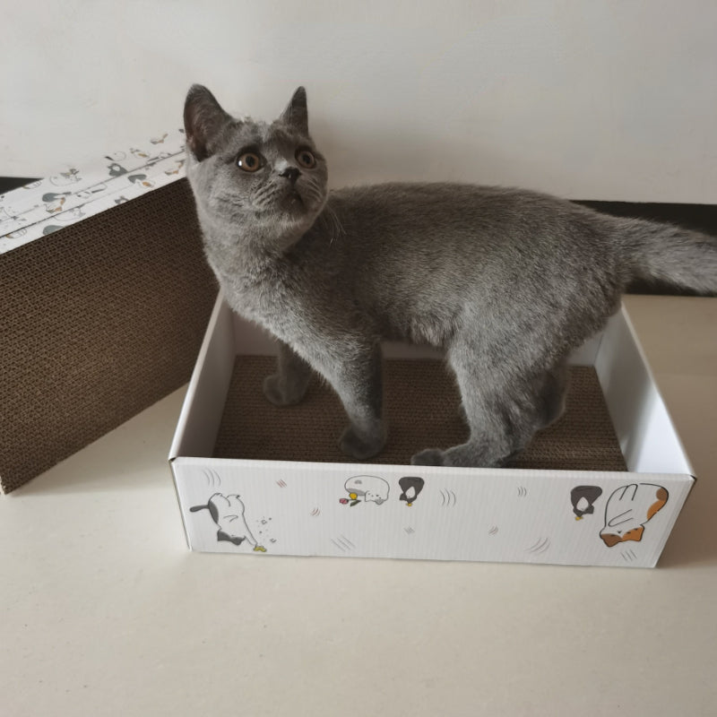 Katzen Kratzbrett Pappe, Hochwertige und Umweltfreundliches , Katzenbettruhe, Ersatz-Kratzbrett, 5 Stück pro Karton