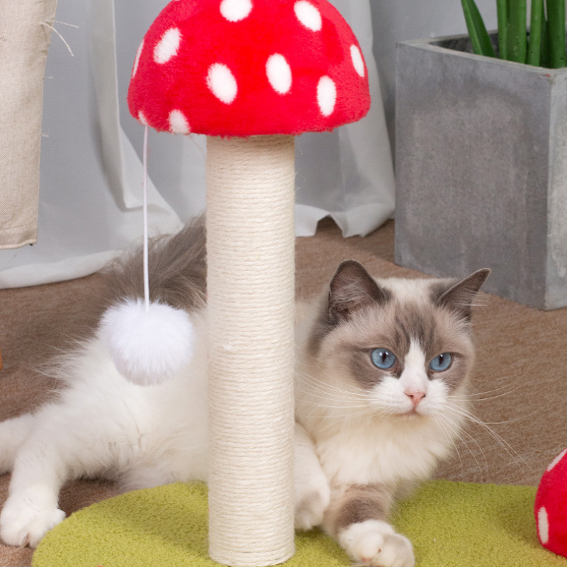 Platzsparender Kratzbaum, Rotes Pilzdesign, Sisal Kratzsäule für Katzen, Kuschelige Plüsch-Oberfläche