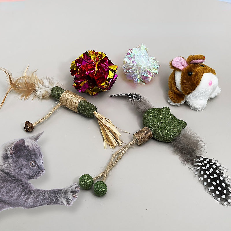 Katzenminze spielzeug, Komprimierte Katzenspielstab,Mit Federn,Haustier Beißstab Set