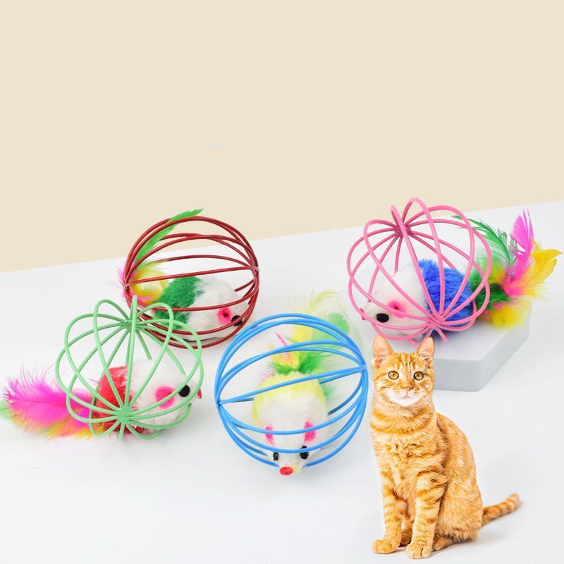 Katzen Spielzeug, 5er Set, Hohlkugeln mit Plüschmaus im Inneren, Durchmesser 6cm, bunte Farben zufällig, interaktiver Spielspaß für Katzen