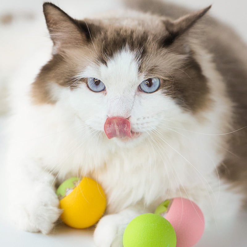 Katzenspielzeug elektrisch, Interaktives Selbstbewegenden Rollbällen, Spaß & Unterhaltung für Katzen, Gelb, Grün, Rosa (3 Stück)