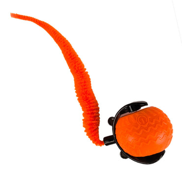 Katzenspielzeug Elektrisch, Interaktiver Spielball für Katzen, Weiches Gummimaterial, Orange & Blau, Katze spielt alleine