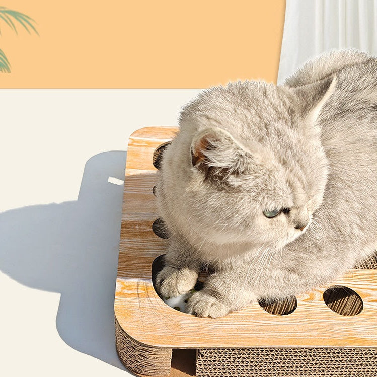 Spielzeug Katze, Multifunktionales Intelligenzspielzeug für Katzen, 2-in-1 Kratzbrett und Ballspielzeug, robust und langlebig