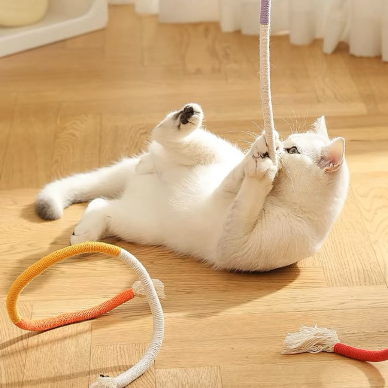 Katzen Spielzeug, Katzen Kauspielzeug aus 70 cm Baumwollseil für Kätzchen zum Spielen & Schärfen der Zähne, 3 Farben wählbar (1 Stück)