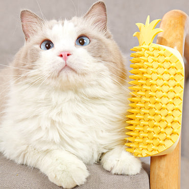 Katzen Spielzeug, Kratzwerkzeug im Gelb Ananas-Design, Wand-Eck-Kratzhilfe für Katzen Juckreiz lindern, Enthält Katzenminze