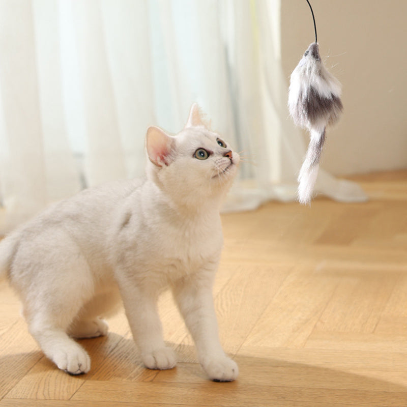 Katzenspielzeug elektrisch, Interaktives Katzenball mit Mause-Spielzeug, 8,1 cm Durchmesser, Grau, für aktive Katzen