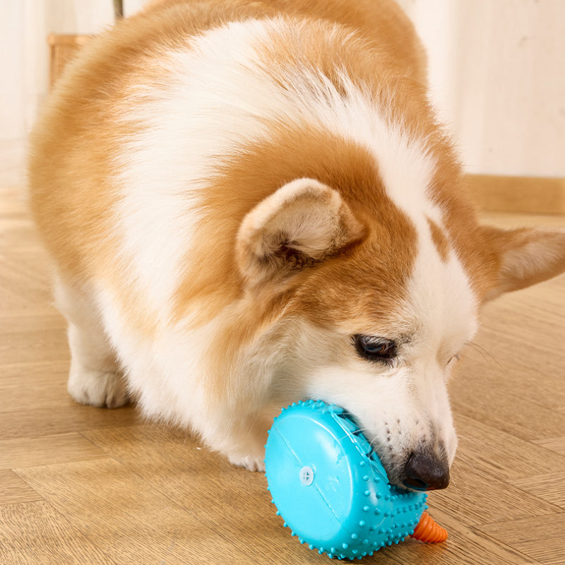 Spielzeug für den Hund, Blaues Monster Intelligenzspielzeug, Quietschtier für Hunde, Robustes Kauspielzeug für aktive Hunde