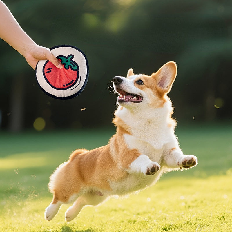 Kuscheltier für den Hund, Tomaten-Muster rundes Kissen mit Quietscher, Spielen & Kauen für kleine und mittelgroße Hunde (1 Stück)