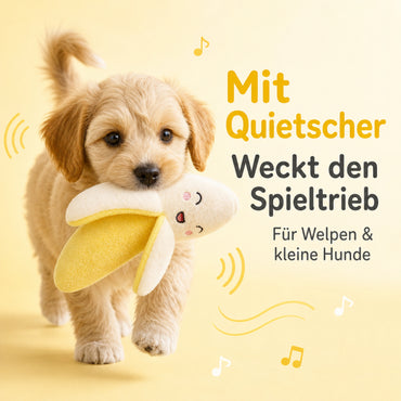 Hund Kuscheltiere DT002-08-5