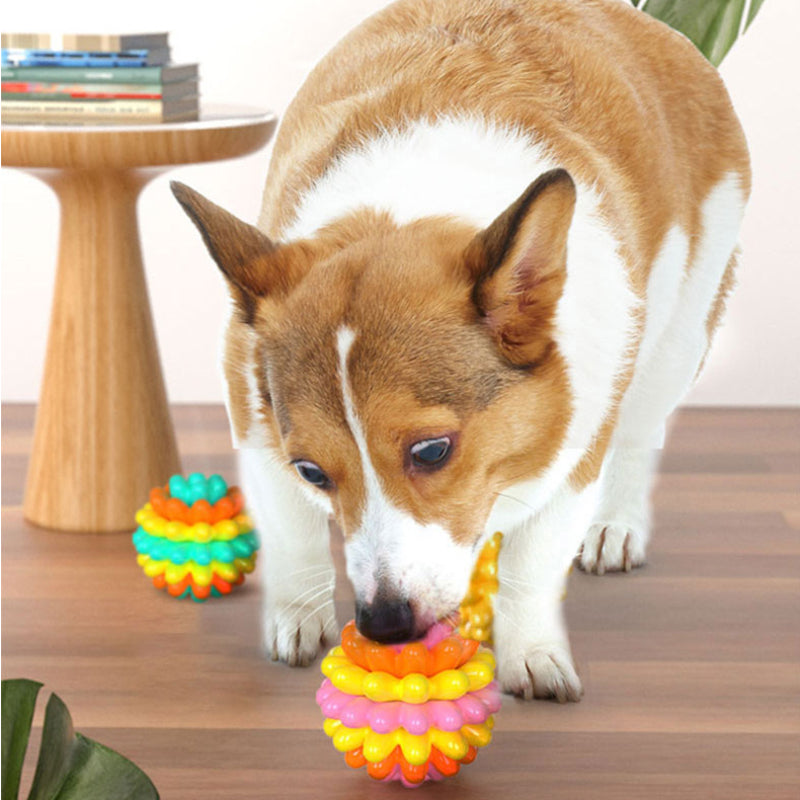 Hundespielzeug unkaputtbar, Farbe Weichkleber Hundeball, Nagen und Zähneknirschen, interessante Interaktion, Drei Farben
