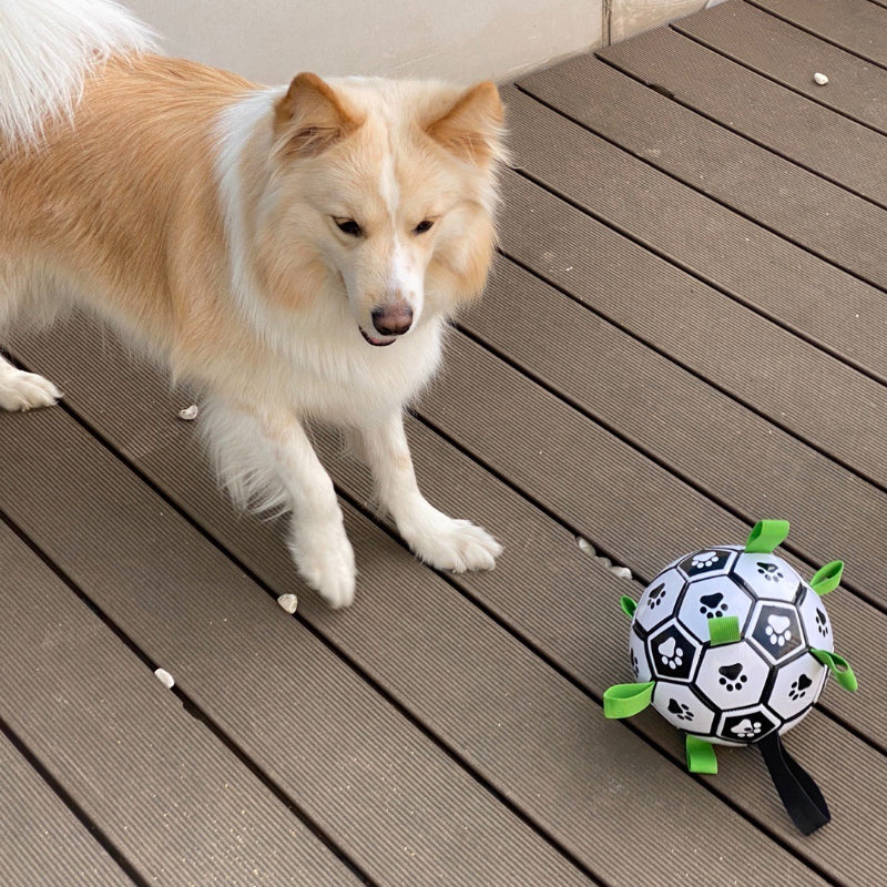 Fußball für Hunde,Interaktiver Hundespielzeugball, grüner Nylon-Kauseil-Fußball, umweltfreundlich Spielen geeignet