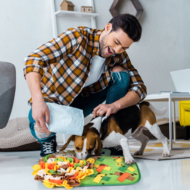 Hund Spielzeug, Schnüffeldecke für Hunde, Klingendes Papier, Lernspielzeug, das die Geschicklichkeit verbessert