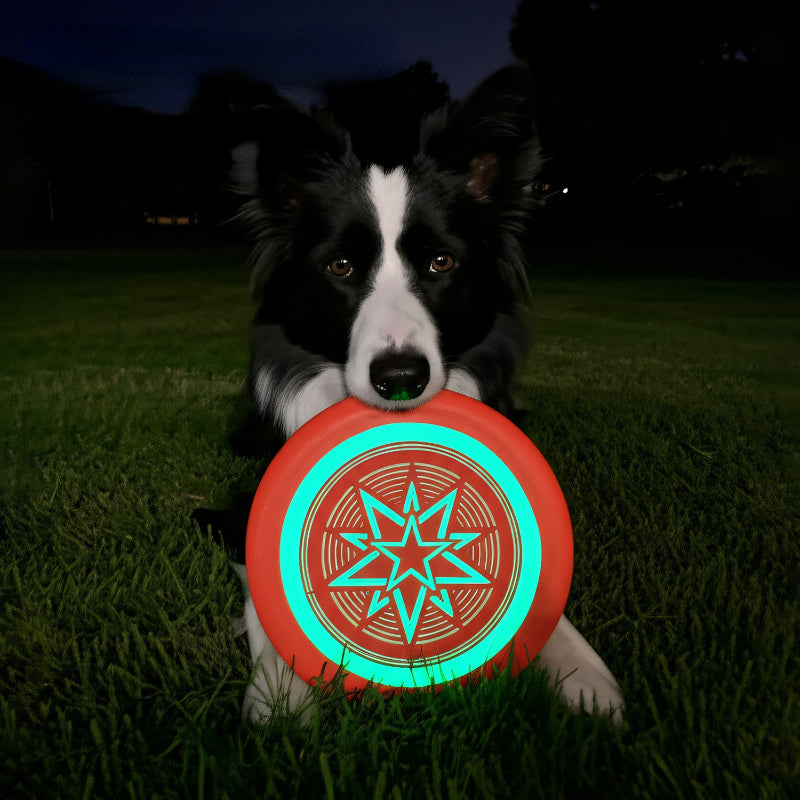 Hundespielzeug, Hundefrisbee, EVA Nachtleuchtendes Interaktives & Wasserspielzeug für Alle Hunderassen, Zufällige Farbe