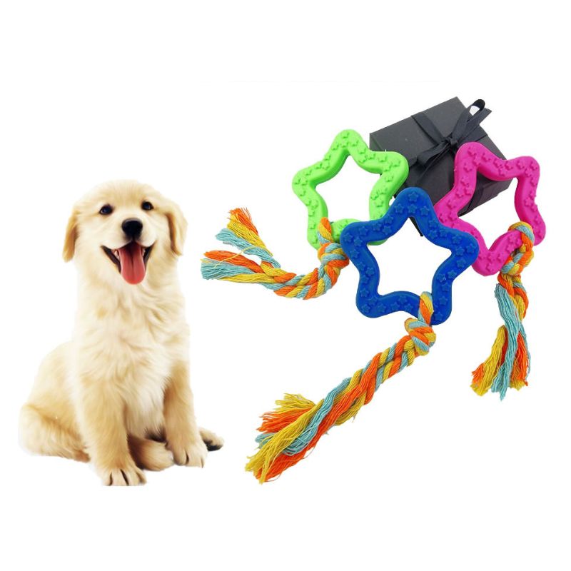 Hundespielzeug Unkaputtbar, Robustes Kauspielzeug im Sternform mit buntem Seil, Vielseitiges Hundespielzeug als Ziehtau für Große und Kleine Hunde