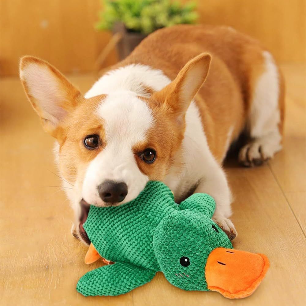 Kuscheltier für den Hund in Enten-Form, beruhigendes Hundespielzeug für mehr Geborgenheit, in Rosa und Grün erhältlich