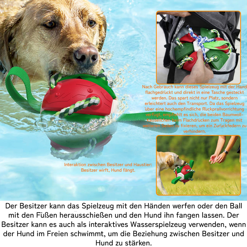 Hund Spielzeug, Frisbee-Ball mit Baumwoll-Beißseil, vielseitig & robust zum Spielen und Trainieren, Zwei Staaten, Drei Farben