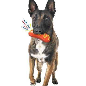 Hund Spielzeug, Wurstspielzeug, Langlebiges Kauspielzeug, Hundespielzeug Quietschen, Ideal für alle Hunderassen (1 Stück)