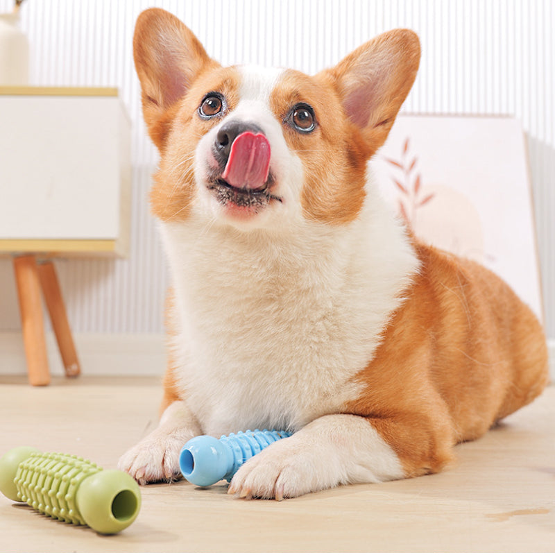 Hunde Spielzeug, TPR Zweikugel-Backenzahnstab, Kauspielzeug für Hunde, Interaktives Futterspielzeug für Hunde in drei Farben