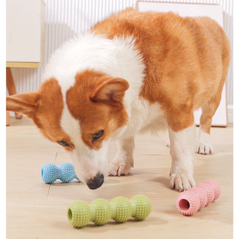 Spielzeug für den Hund, Vierkugel-Backenzahnstab aus TRP-Material, Bzerstörfest in drei Farben wählbar: Grün, Blau, Pink