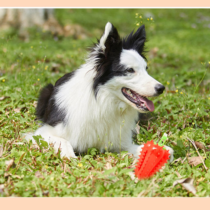 Hunde Intelligenzspielzeug, Chili-Form Kauspielzeug mit Essen verstecken, Interaktives & Futterspielzeug, Drei Farben
