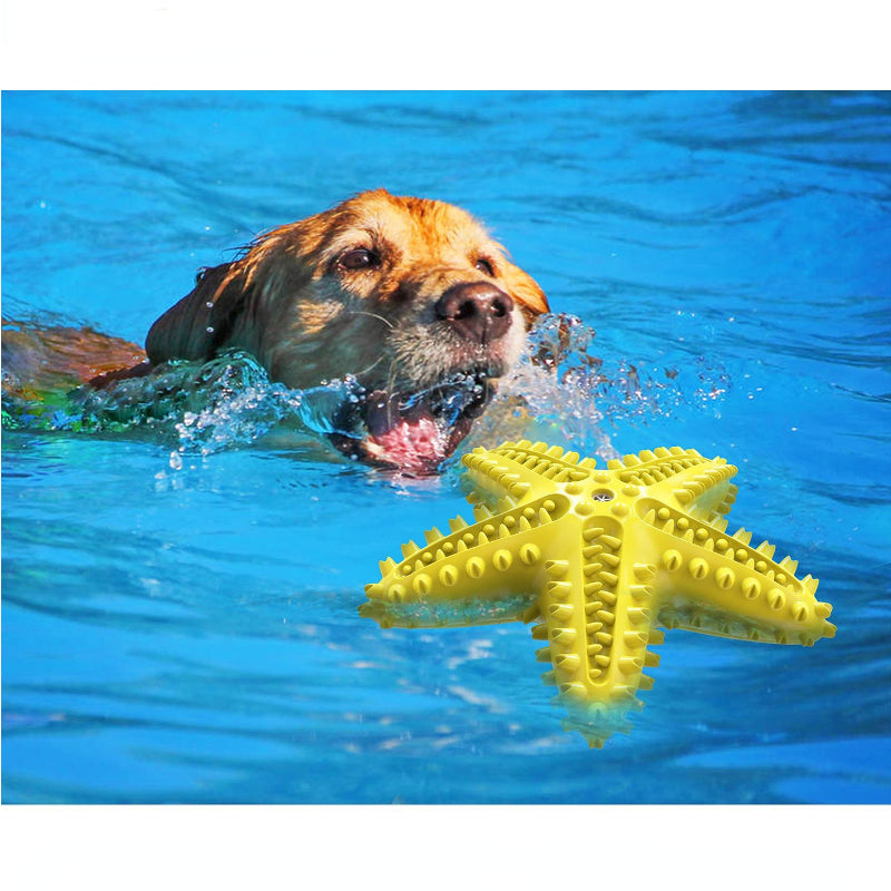 Hundespielzeug Unkaputtbar, Quietsch-Seestern, Kauspielzeug für Hunde, Wasserspielzeug Hund für Alle Hunde, Drei Farben