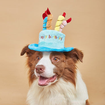 Hund Spielzeug, Verspielte Plüsch Geburtstagsmütze, Pink & Blau, Verstellbare Hutkordel, Perfekt für jeden Hund mit Geburtstag (1 Stück)