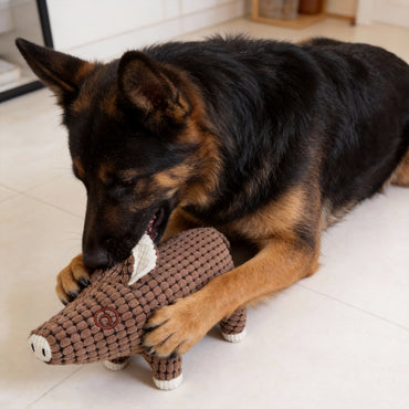 Kuscheltier für den Hund, Plüsch Schwein, PP-Watte, Quietschspielzeug, Spielen & Schlafen für Alle Hunde (1 Stück)