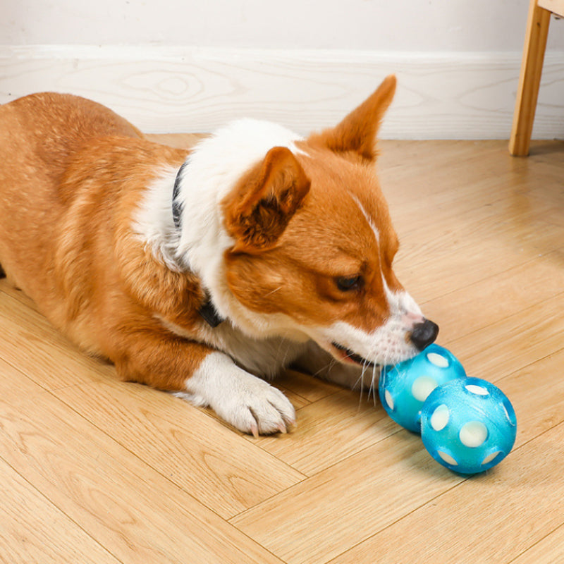 Spielzeug für den Hund, TPR Hundeball, Blauer schwimmender Schwammball, Wasserspielzeug Hund, 2er Set mit 7 cm Durchmesser