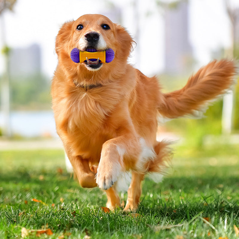 Spielzeug für den Hund, lila-gelb Kauspielzeug aus Gummi, Intelligenzspielzeug für Hunde, Essen verstecken Funktion