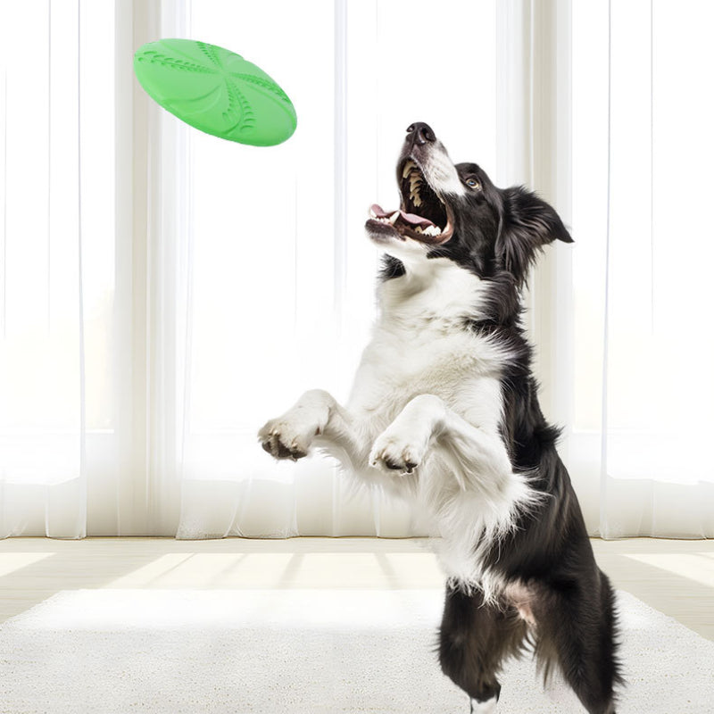 Hundespielzeug, Hundefrisbee, EVA-Weizenährenmuster, Blau und Grün, Wasserspielzeug Hund, Interaktives Hundespielzeug (1 Stück)