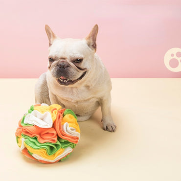 Hunde Intelligenzspielzeug, Hundeball aus Polarfleece für interaktiven Spaß, Futterversteckspielzeug für Hunde, Zwei Größen