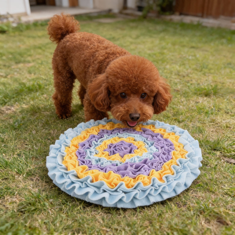 Hunde Intelligenzspielzeug, Blauem Schnüffelmatte, Geeignet für Kleine und Mittlere Hunde, Fördert die Geistige Entwicklung