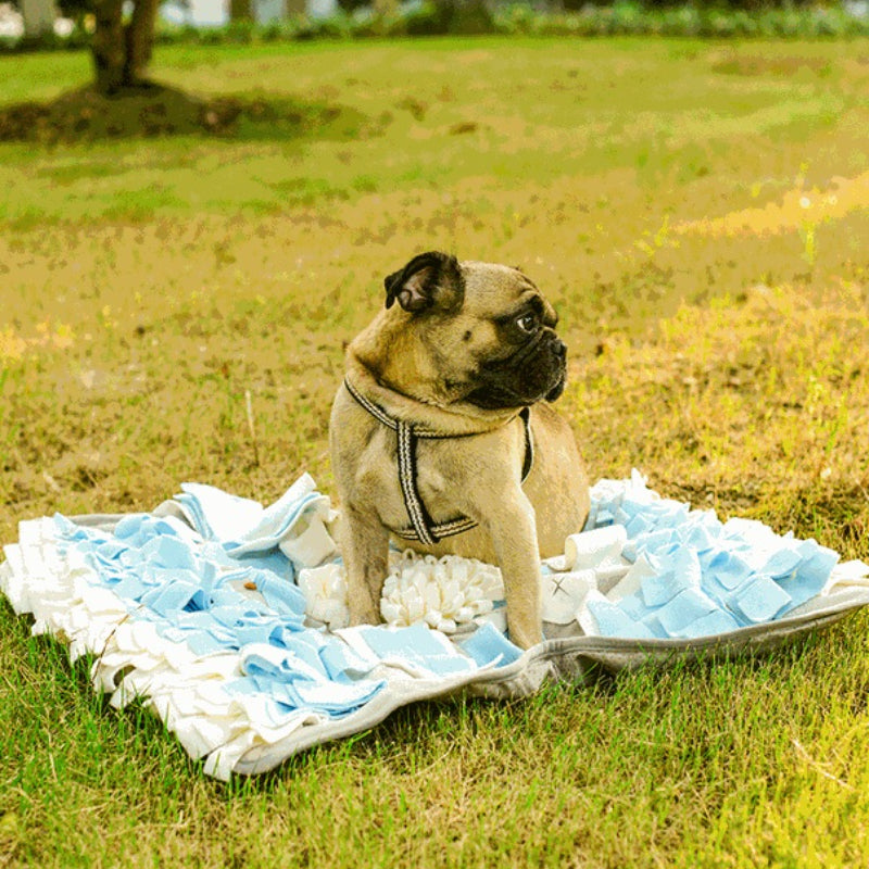 Hunde Intelligenzspielzeug, Schnüffelmatte, Interaktives Hundespielzeug zur Stressbewältigung, Rutschfest, blau & weiß