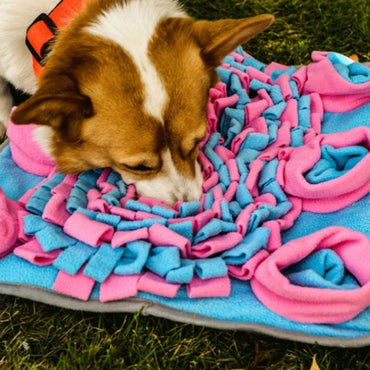 Hunde Intelligenzspielzeug, puderblau Quadrat Schnüffelmatte mit Sechs Hundefutter kleine Gruben, zarten Pastellfarben