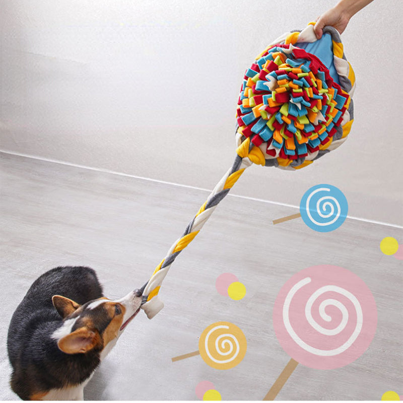 Hundespielzeug Intelligenz, Buntes rundes Schnüffelmatte mit Griff, Zerrspielzeug Hund, Hundespielzeug beschäftigung