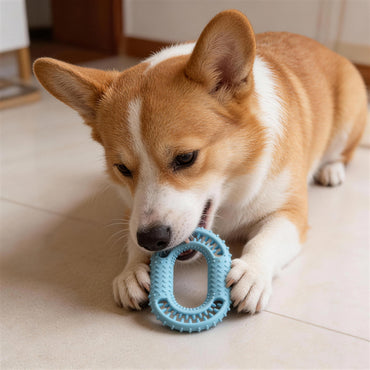 Hundespielzeug Unzerstörbar, TPR O-Ring Kauspielzeug für Hunde, Widerstandsfähig & Abriebsfest, Saubere Zähne, Drei Farben