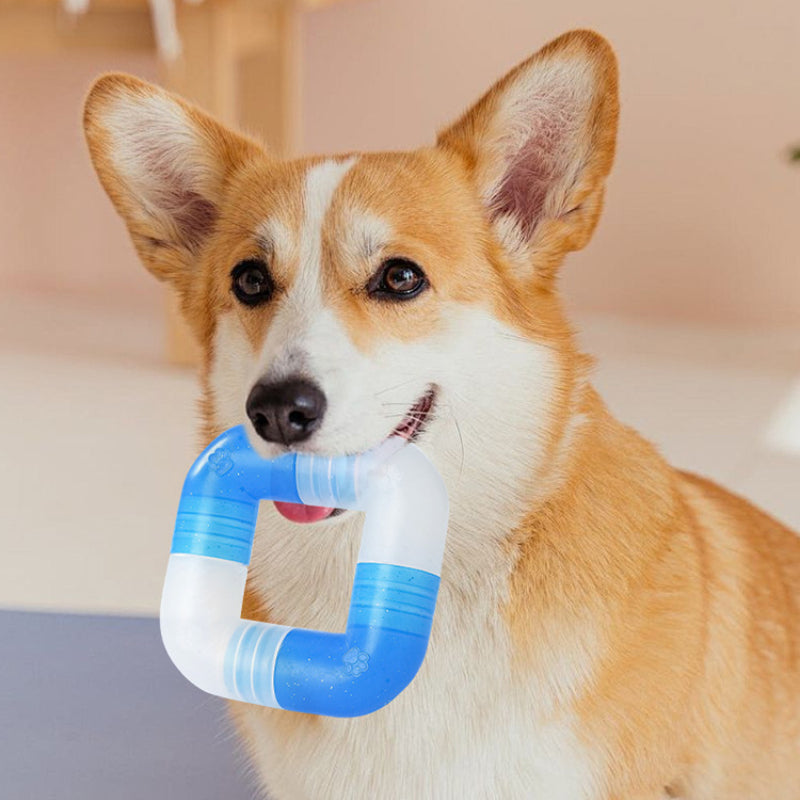 Hund Spielzeug, EVA Spleißen von Kauspielzeug für Hunde mit Sicherer & frischer Duft, Starke Plastizität, Zwei Farben
