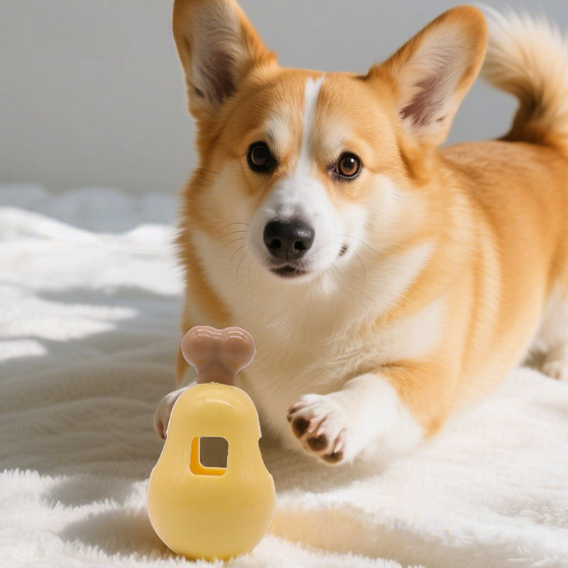 Hunde Intelligenzspielzeug, Schaukelndes Hühnerbein-Spielzeug, Futterspielzeug für Hunde zum Spielen und Lernen