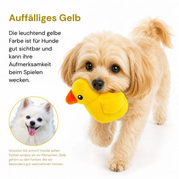 Kuscheltier für Hunde, Kleines Gelbes Entchen, Welpenspielzeug mit Quietscher, Perfekt Beruhigungsspielzeug