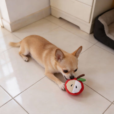 Hund Kuscheltiere, Plüsch Halbierte Apfel-Design, Kauspielzeug für Welpen mit Quietscher, Durchmesser 8 cm, 2er Pack