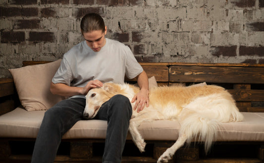 Langeweile oder Stress bei Hunden erkennen - PAWSOMETIME