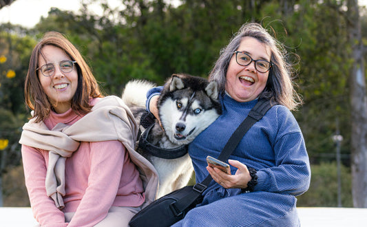 Beschäftigungsspielzeug für Hunde - Pawsometime