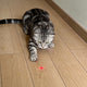 Laserpoint für Katzen - Pawsometime