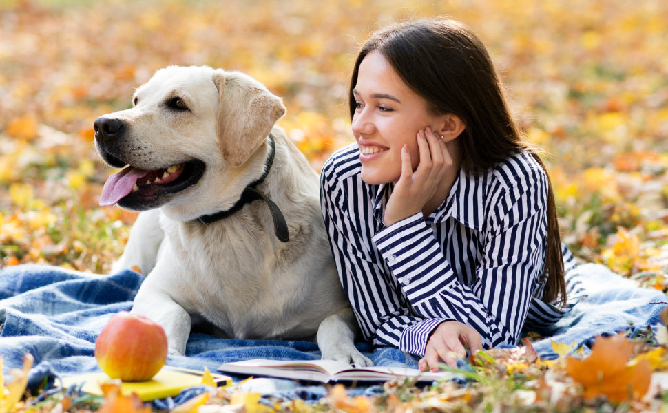 hundespielzeug unzerstörbar - PAWSOMETIME