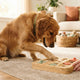 Der tägliche Spielplan Wie Sie Intelligenzspielzeug optimal integrieren - PAWSOMETIME