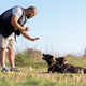 Grundkommandos für kontrolliertes Zerrspiel beim Hund lernen - PAWSOMETIME