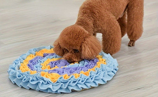 Schnüffelteppich Hund - Pawsometime