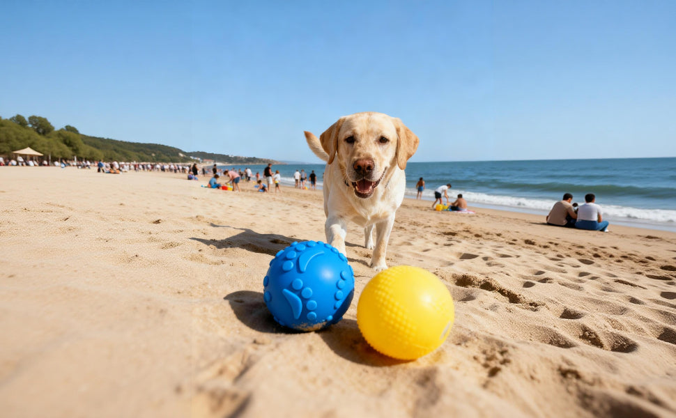 Hundeball Materialien im Vergleich Naturkautschuk TPR Plüsch - PAWSOMETIME